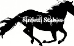 SSO My Horses Ranked
