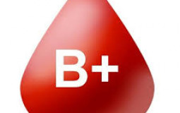 Blood type compatibility for B+ and B-