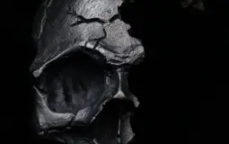 peope who die