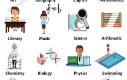 School subjects