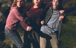 Harry Potter characters