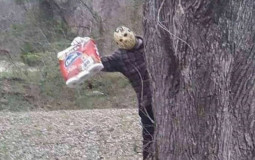 hola