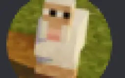 neincraft e-gorls