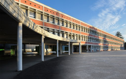 Sussité 1.11