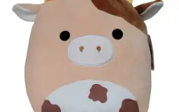 Brown squishmallows (NOT all of them)