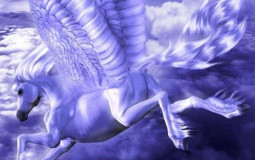 Pegasus Ranking