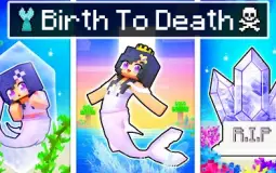 Birth to death