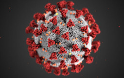 coronavirus action