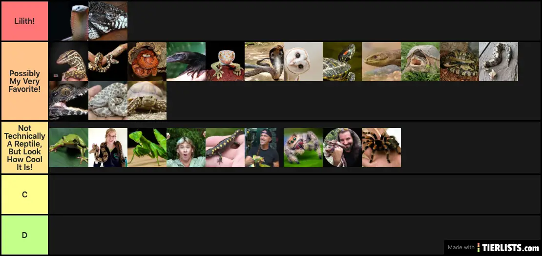 Clint's Reptile Tier List