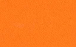 ORANGE SUX