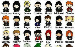 Harry Potter Favorite