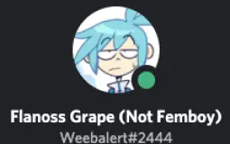 BIG MEME CLUB