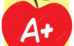 School Brands Tier List