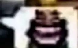 jhierhijgfifdg