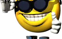 Social Media in Terms of Memes