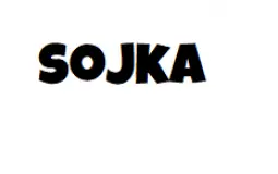 Sojka Discord