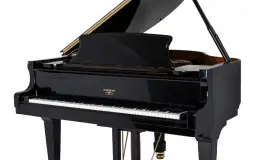 Musical Instruments