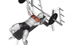 Chest Exercises