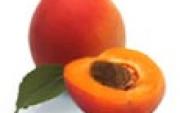 Fruit Tier List