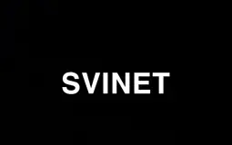 Navn på Svinet