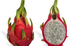 fruit