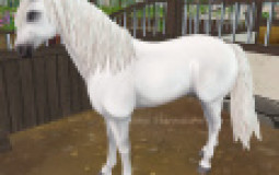 Star stable