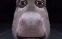 HH
