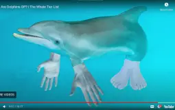 sss