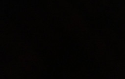 DBL TIER LIST
