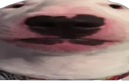 Alts Power Level