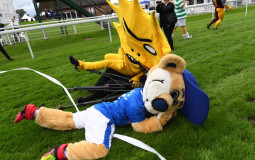 Spfl Mascots