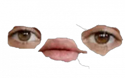 fdfdfd