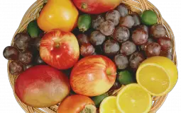 Fruit Tier List