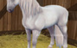 Star STable Online My HOrses
