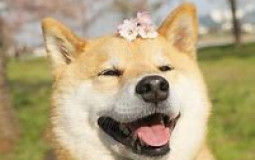 Characters I aggressively Simp For