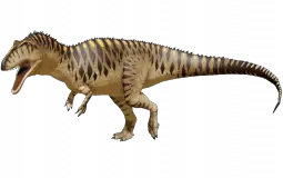 hjj