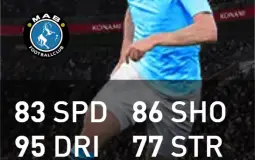 Pes AMFs