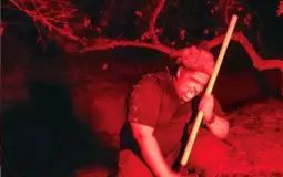 adadadadada