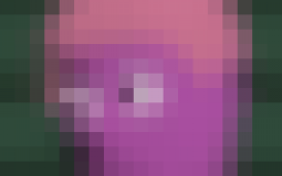 fxbdxfdgsgs