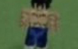 DBZFS