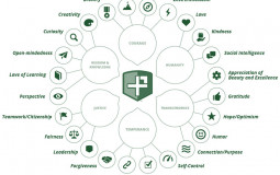 24 Signature Strengths