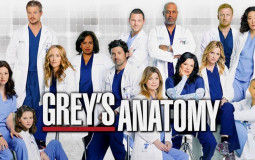 greys anatomy