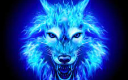 Blue Wolves
