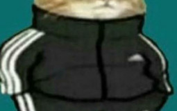svurshvashti anime glasove