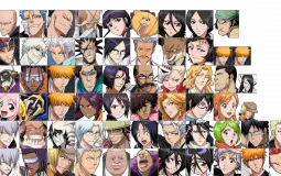 Bleach IS