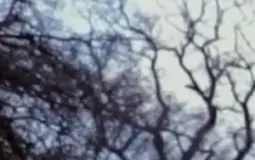 Blumenthal Film