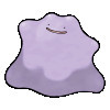 Ditto Avatar