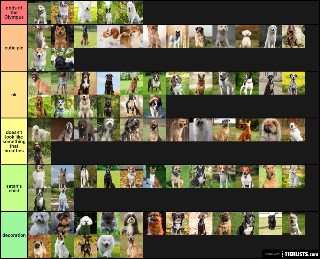 dog breed tier list