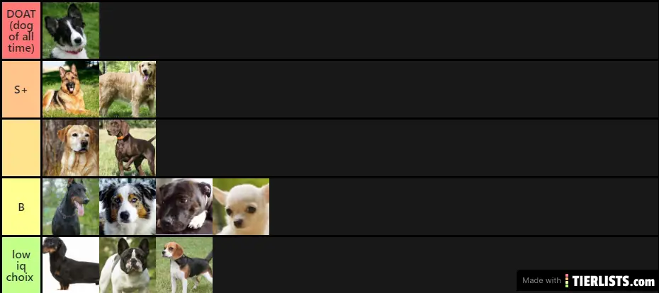 dog race tier list