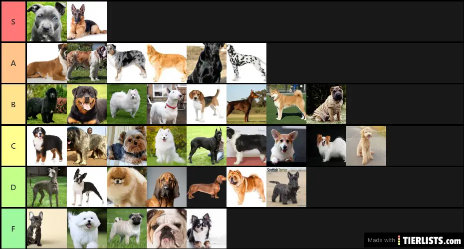 Dog tier list